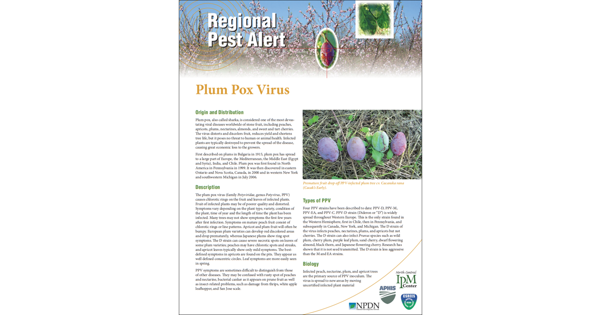 Regional Pest Alert Plum Pox Virus Unit 50