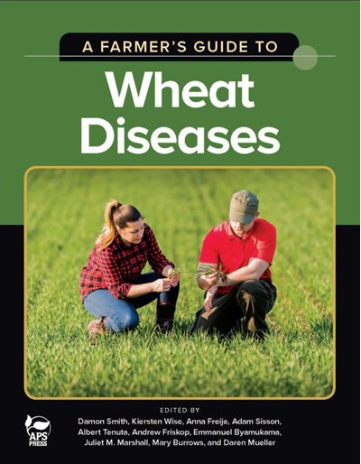 A Farmer S Guide To Wheat Diseases