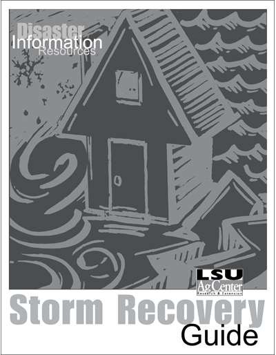 Storm Recovery Guide