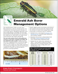 Emerald Ash Borer Management Options