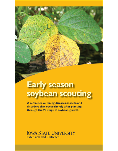 Soybean Growth And Development