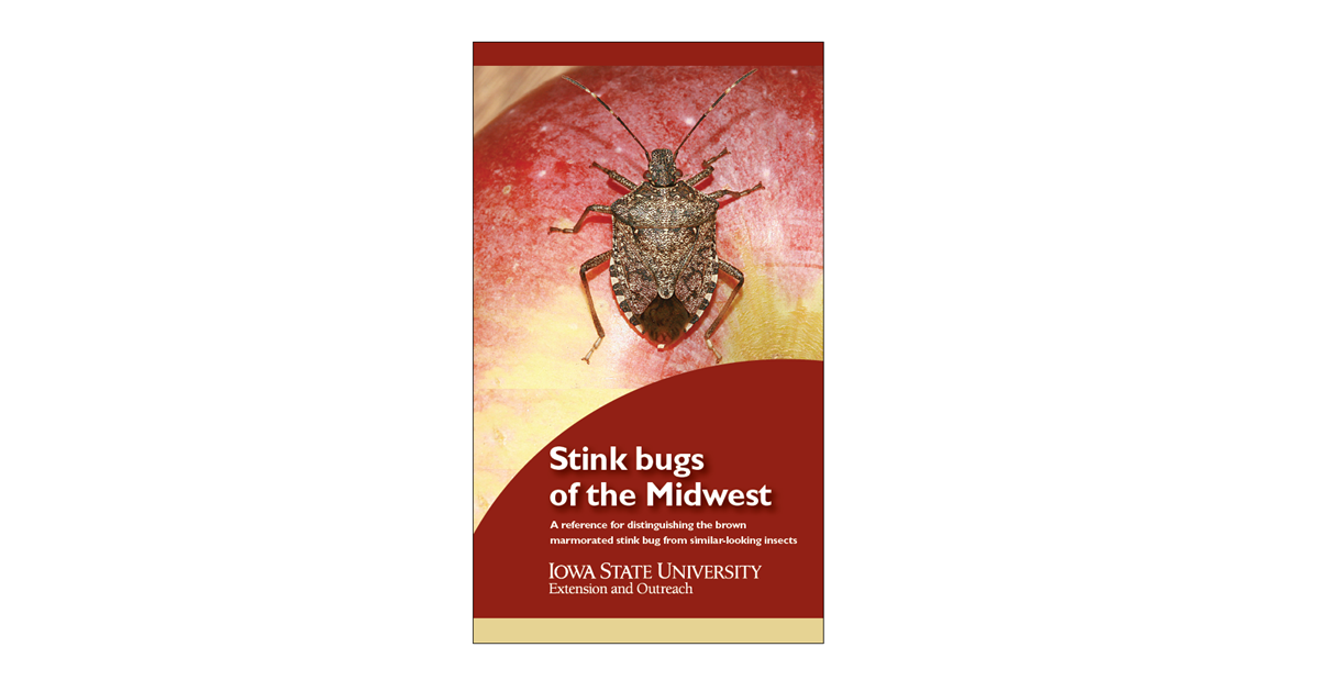 Stink bugs of the midwest unit 100 