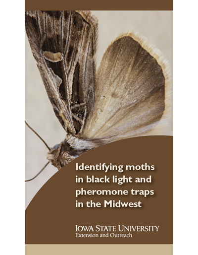 Moth trapping begins in Iowa