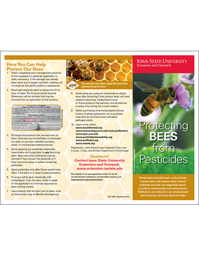 Pesticides, Bees and Plant-Pollinator Interactions, Thursday, Dec. 14,  2023, 11 a.m. - 12 p.m. PST - News & Events - UI Extension in Boundary  County