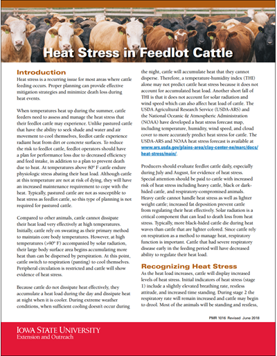 Heat Stress in Beef Cattle