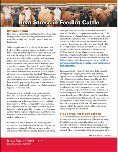 PDF) Causes of death in feedlot beef cattle and their control: a brief  review