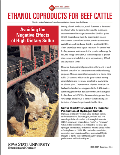 What are alternative forage options for beef cattle producers during a  drought?, Illinois Extension