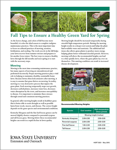 Fall Tips to Ensure a Healthy Green Yard in the Spring