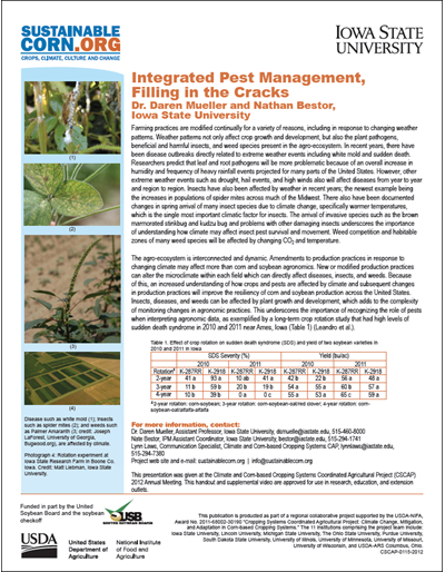 Corn Growth And Development: Climate Matters