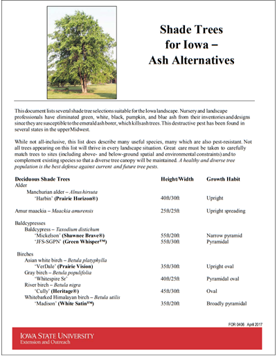 Shade Trees for Iowa - Ash Alternatives