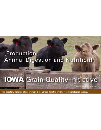 Production Animal Digestion and Nutrition Module