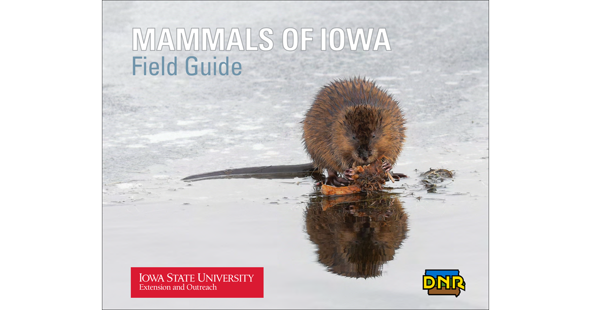 Mammals of Iowa Field Guide