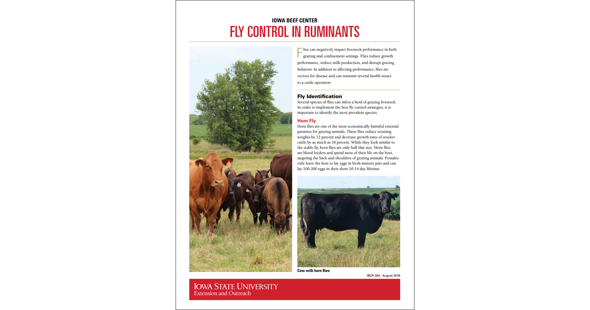 Fly Control in Ruminants