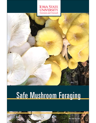 Safe Mushroom Foraging