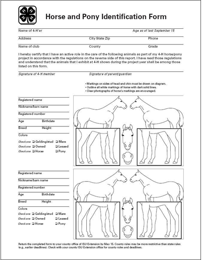 Horse and Pony Identification Form