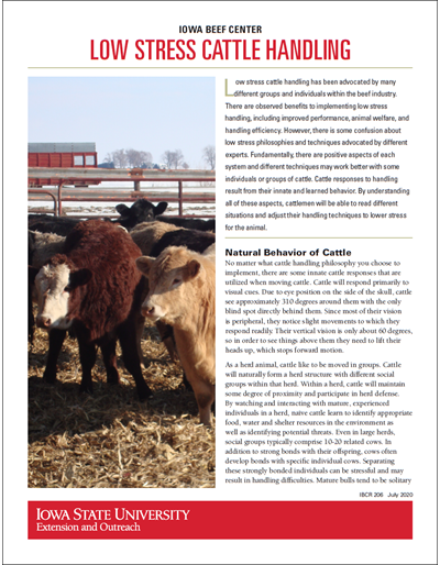 Low Stress Cattle Handling