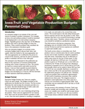 Iowa Fruit and Vegetable Production Budgets: Perennial Crops