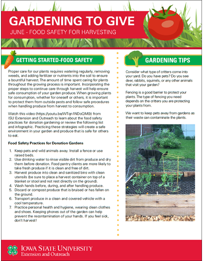 June Food Safety for Harvesting -- Gardening to Give