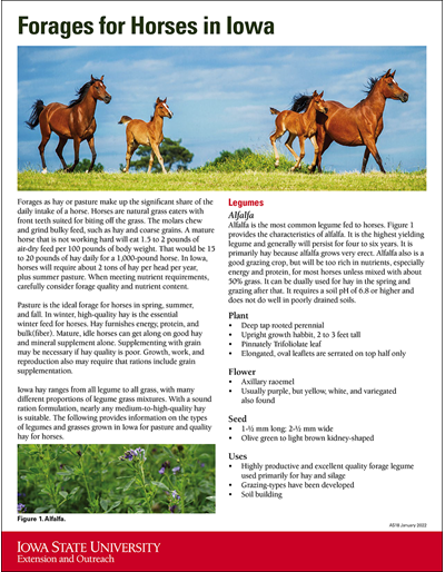 Forages for Horses in Iowa