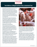 Feed Additives to Mitigate the Risk of Virus-contaminated Feed