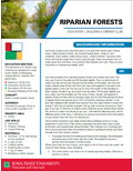 Riparian Forests -- Vibrant Clubs