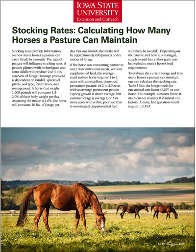 Stocking Rates: Calculating How Many Horses a Pasture Can Maintain