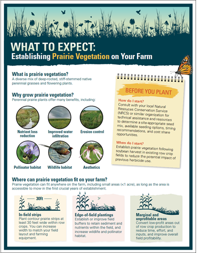 What to Expect: Establishing Prairie Vegetation on Your Farm
