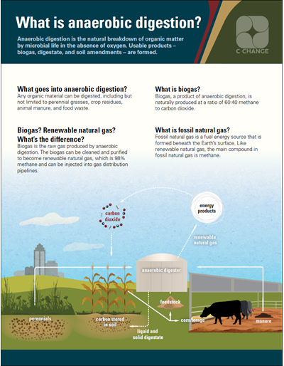 What is anaerobic digestion?