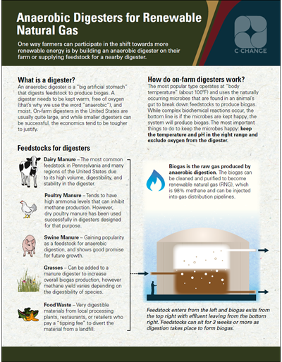 Anaerobic Digesters for Renewable Natural Gas