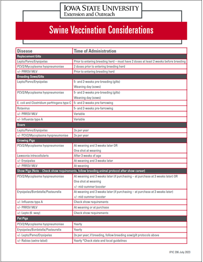Swine Vaccination Considerations