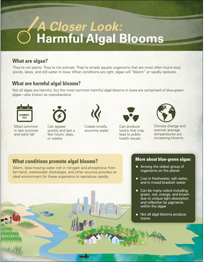 A Closer Look: Harmful Algal Blooms