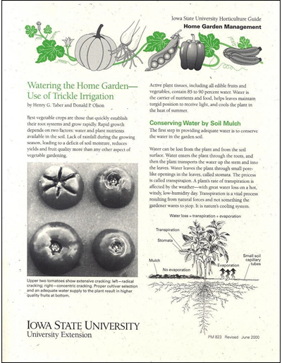 Watering the Home Garden -- Use of Trickle Irrigation