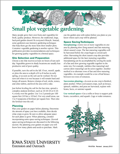 6 Things to Consider When Planning a Vegetable Garden