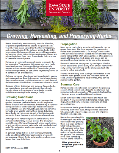 Growing, Harvesting, and Preserving Herbs