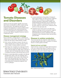 Tomato Diseases and Disorders
