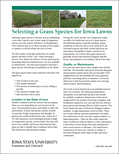 Selecting a Grass Species for Iowa Lawns