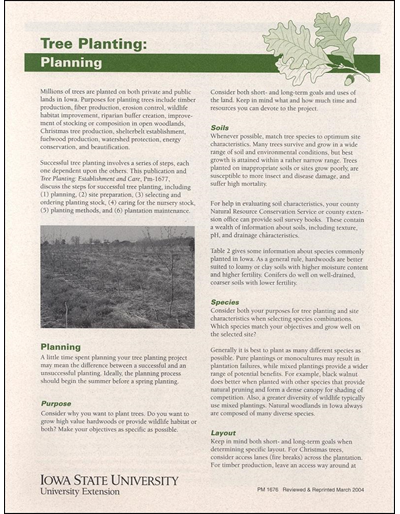 methodology of tree planting project proposal