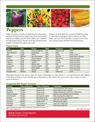 Peppers