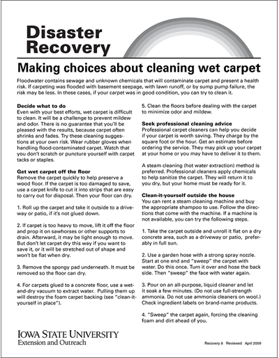 Making Choices About Cleaning Wet Carpet - Disaster Recovery Series
