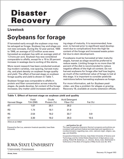 Livestock: Soybeans for Forage - Disaster Recovery Series