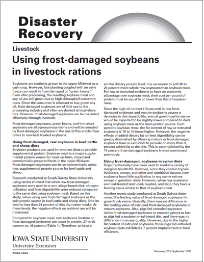 Livestock: Using Frost-Damaged Soybeans in Livestock Rations - Disaster Recovery Series