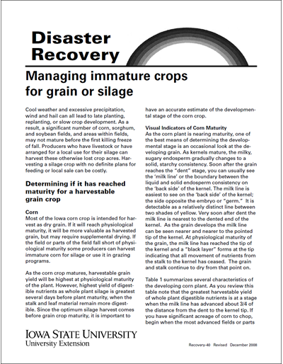 Managing Immature Crops for Grain or Silage -- Disaster Recovery
