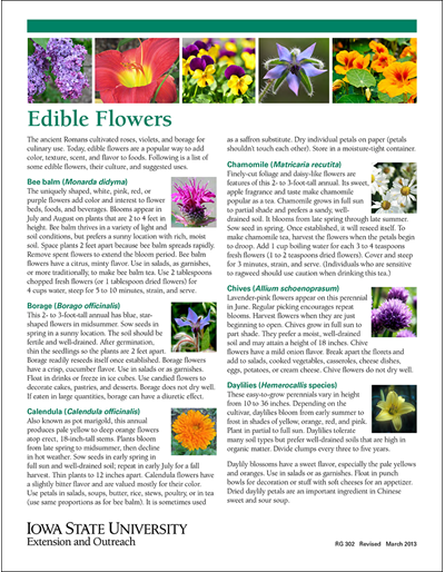 All About Edible Flowers - How to Use Lavender