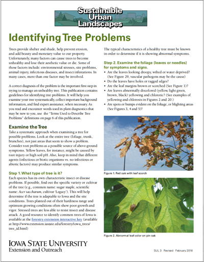 Identifying Tree Problems - Sustainable Urban Landscapes