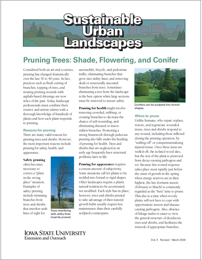 Pruning Trees: Shade, Flowering, and Conifer -- Sustainable Urban Landscapes