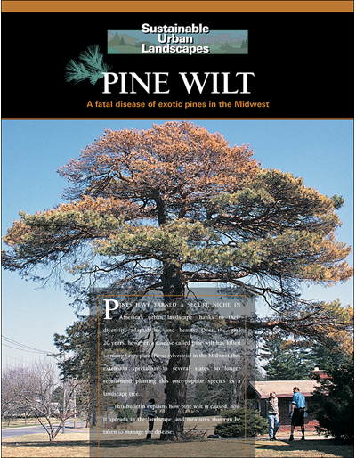 Pine Wilt: A Fatal Disease of Exotic Pines in the Midwest ...