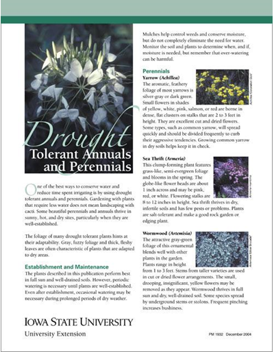 Drought Tolerant Annuals and Perennials