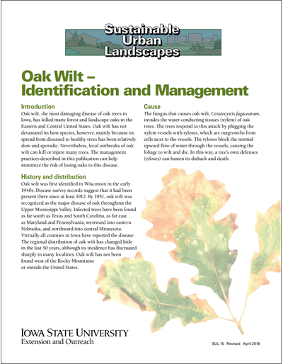 Oak Wilt - Identification and Management - Sustainable Urban Landscapes